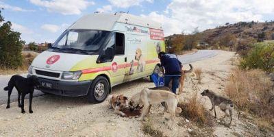 Can dostlar doğal yaşam alanlarında besleniyor