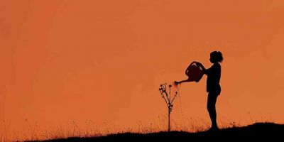 “Küresel İklim Değişikliği Fotoğraf Yarışması” sonuçlandı