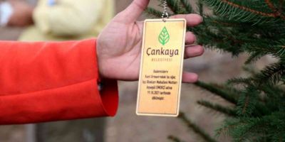 Muhtarlar Bademlidere’ye fidan dikti