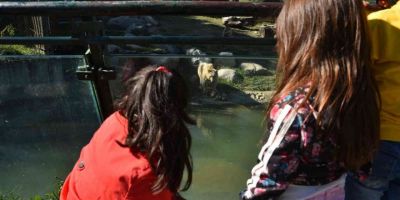 Hayvanat Bahçesi’nin özel konukları