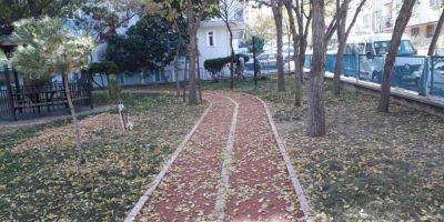 Sincan sonbaharda da ışıl ışıl