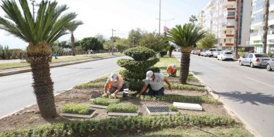 Antalya’da 3 milyon kışlık çiçek toprakla buluşuyor