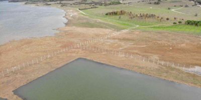 Ömerli Barajı’nda tellere takılıp telef olan hayvanlar suların çekilmesi ile görüldü