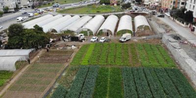 İstanbul’un göbeğinde, E-5’in yanında organik tarım