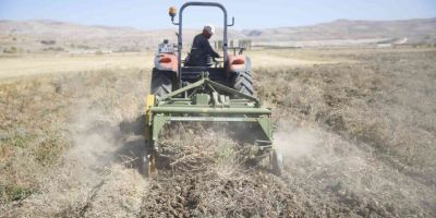 Faydalı böcek yetiştiriciliği için ekilen patatesler hasat ediliyor