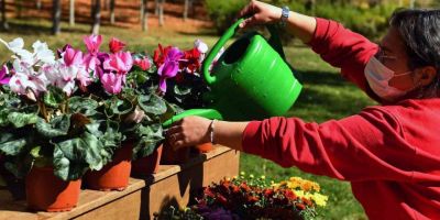 ANFA Bitki Evi üçüncü şubesini 30 Ağustos Zafer Parkı’nda açtı