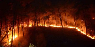 Bursa’da 7,5 milyon fidan toprakla buluşacak