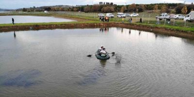 Çökertme havuzunda mahsur kalan anaç balıklar kurtarıldı