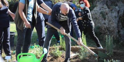 Alzehimer hastaları tıbbi aromatik bitkiler dikti