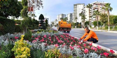 Mersin’de cadde ve refüjler mevsimlik bitkilerle bezeniyor