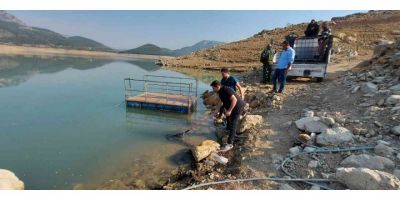 Kuruyan deredeki yavru balıklar kurtarıldı