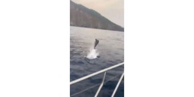 Yunusun tekne ile yarışı görsel şölen oluşturdu