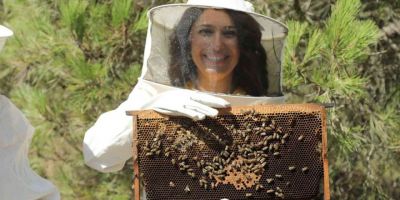 Arıcılık sektöründe sosyal sorumluluk projelerine hız verildi