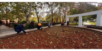 Kozan’da parklar 225 bin çiçek ile kışa hazırlanıyor