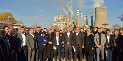 Filtresiz santralin bacalarından kül yağmasına tepki