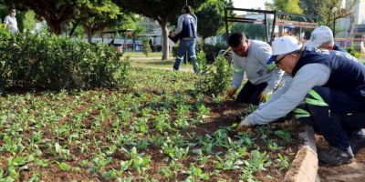 Akdeniz Belediyesi, park ve yeşil alanları çiçeklendiriyor