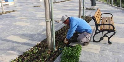 Manavgat Türkbeleni’nde 28 bin çiçek toprakla buluştu