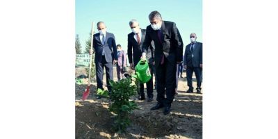‘Öğretmenler Günü Hatıra Ormanı’na 50 fidan dikildi