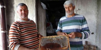 Şifa deposu püren balının kilosu 125 lira