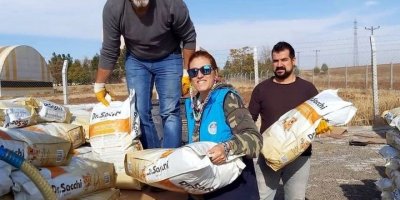 Akdeniz Belediyesine İlaç Gibi Destek: Sokaktaki Canlar Dostlara 2 Ton Mama