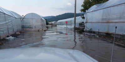 Sağanak yağış, seraların tahliye kanallarını tıkadı
