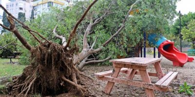 Antalya’da deprem korkusu yaşatan hortum mahalleyi savaş alanına çevirdi