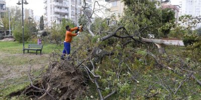 Muratpaşa’da hortumun bıraktığı izler temizleniyor