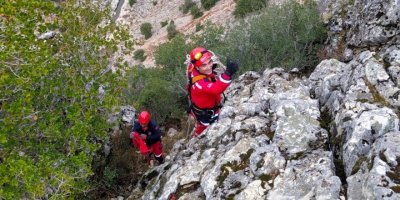 Kayalıklara düşen keçiyi itfaiye kurtardı