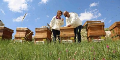 Torosların balı Avrupa yolunda