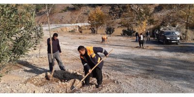 Yangın bölgesinde mesire alanı oluşturuldu