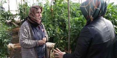 Serik’te zarar gören seralarda hasar tespit çalışması