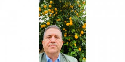 Üretici limona desteği yeterli bulmadı