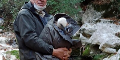 Bitkin halde bulduğu kızıl akbabayı ölmesin diye montuna sardı