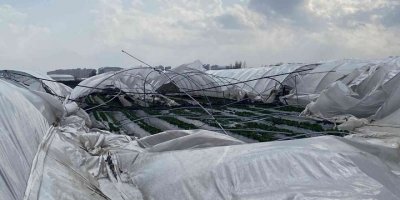 2 gün sonra hasat yapılacak seralar, fırtınada yerle bir oldu