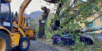 Konyaaltı’nda fırtınayla mücedele çalışması