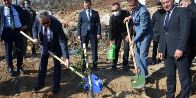 Vali Su, yanan orman alanlarında fidan dikti