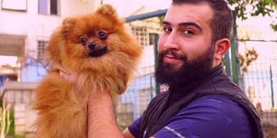Profesyonel köpek eğitmeninden 10 adımda köpek eğitimi
