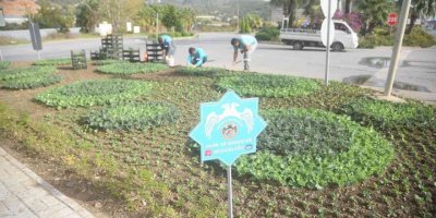 Alanya’da binlerce çiçek toprakla buluşuyor