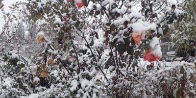 Toroslar beyaza büründü