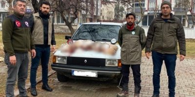 Projektörle tavşan avlayanlara 24 bin lira ceza