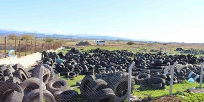 Kent genelinde vektörel mücadele