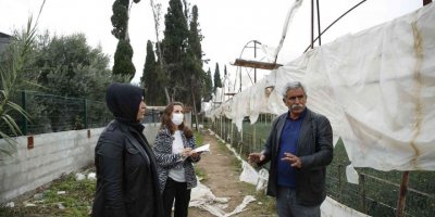 Büyükşehir çiftçinin yaralarını sarmak için hasar tespiti yapıyor