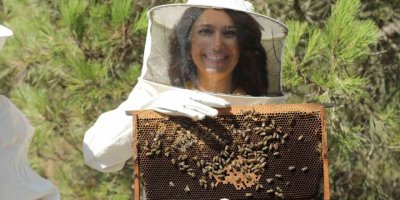 Arıcılara teorik ve uygulamalı arıcılık ile bal arısı zehri üretimi eğitimi