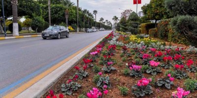 Mersin’in 4 bini yanı çiçeklerle renkleniyor