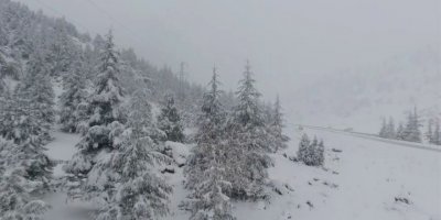 Beyaz gelinlikli orman drone ile görüntülendi