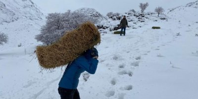 Yaban hayvanlarına yem desteği
