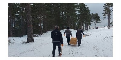 Osmaniye’de sokak ve yaban hayvanlarına mama ve yem desteği