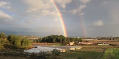 Yağmur sonrası gökkuşağı şöleni