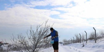 Karlı dağdaki yaban hayvanlarına yem