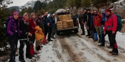 Osmaniye’de yaban hayvanlarına yem desteği
